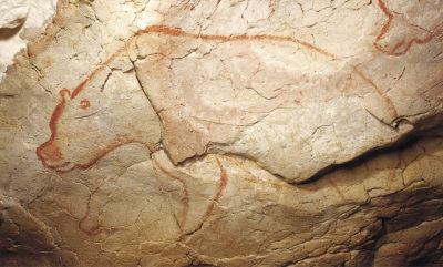 Création du site internet de la Grotte Chauvet - Pont d'Arc, pour le compte du ministère de la culture et de la communication