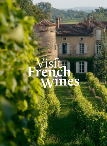 Création et développement du site internet de Visit French Wines, portail de l'oenotourisme en France